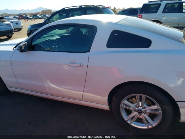 1ZVBP8AM0E5242704 Ford Mustang V6