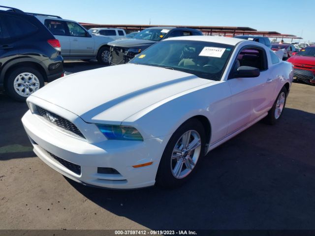 1ZVBP8AM0E5242704 Ford Mustang V6