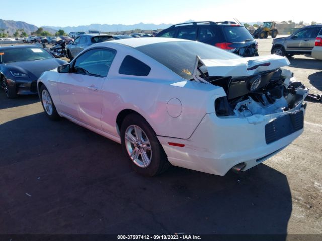 1ZVBP8AM0E5242704 Ford Mustang V6