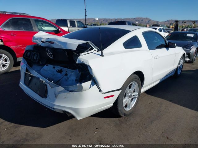 1ZVBP8AM0E5242704 Ford Mustang V6