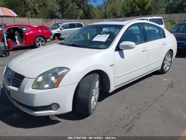 2006 NISSAN MAXIMA 3.5 SL VIN: 1N4BA41E06C817442