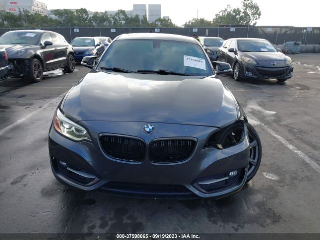 WBA1F9C52GV742568 BMW 2 Series 228i