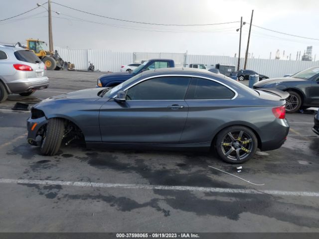 WBA1F9C52GV742568 BMW 2 Series 228i