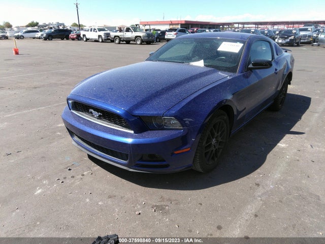 Ford Mustang V6 2014 1ZVBP8AMXE5248994 Image 2
