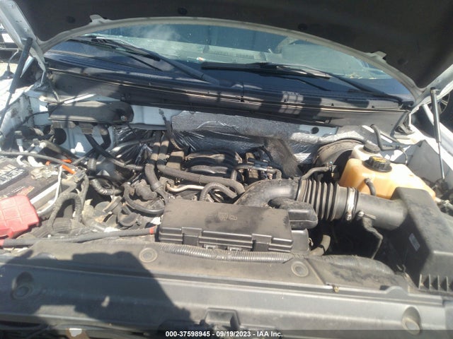 2012 FORD F-150 XL VIN: 1FTNF1CF3CKD16768
