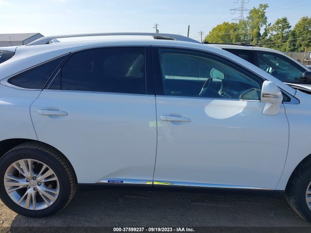 2010 LEXUS RX 450H VIN: JTJBC1BA6A2017481