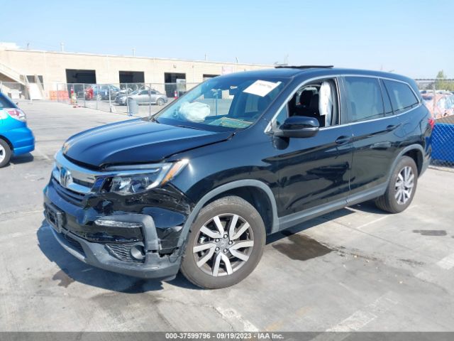 5FNYF6H51KB015244 Honda Pilot Ex-l