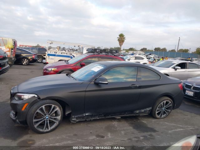 WBA2F9C32HV665043 BMW 230I