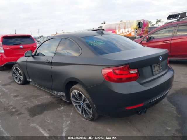 WBA2F9C32HV665043 BMW 230I