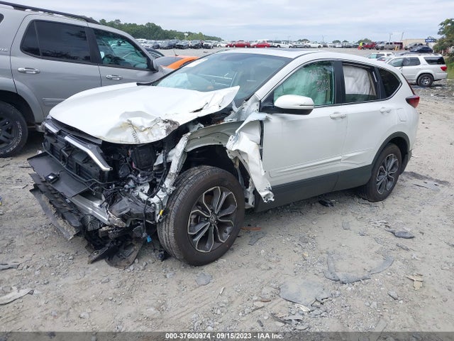 Honda Cr-v Ex-l 2022 7FARW2H86NE034131 Image 2