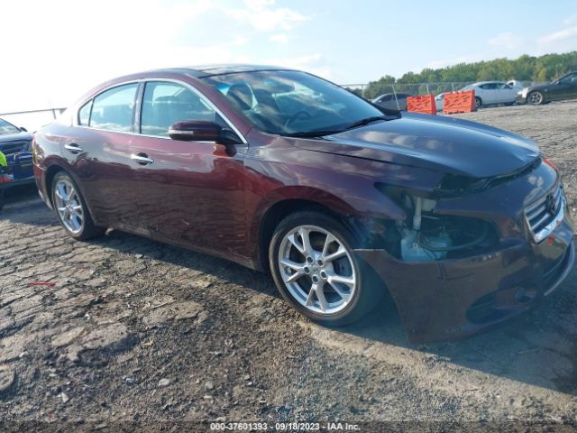 1N4AA5AP6EC493768 Nissan Maxima 3.5 Sv W/premium Pkg