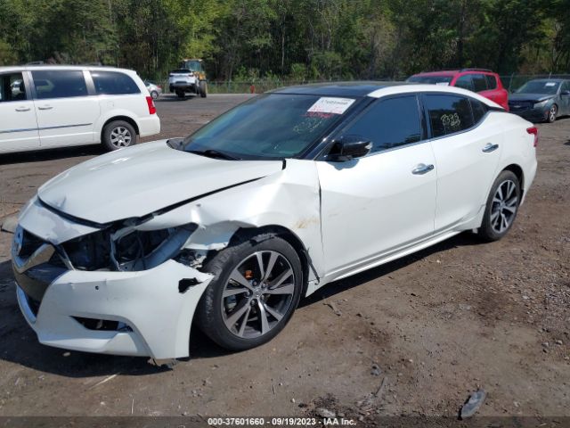 1N4AA6APXGC422324 Nissan Maxima 3.5 Sl