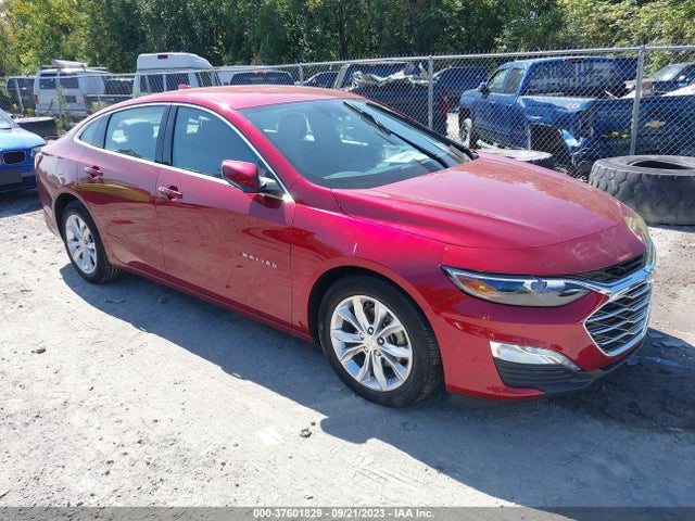 2019 1G1ZD5ST6KF196616 main image