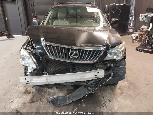 2009 LEXUS RX 350 VIN: 2T2HK31UX9C127515