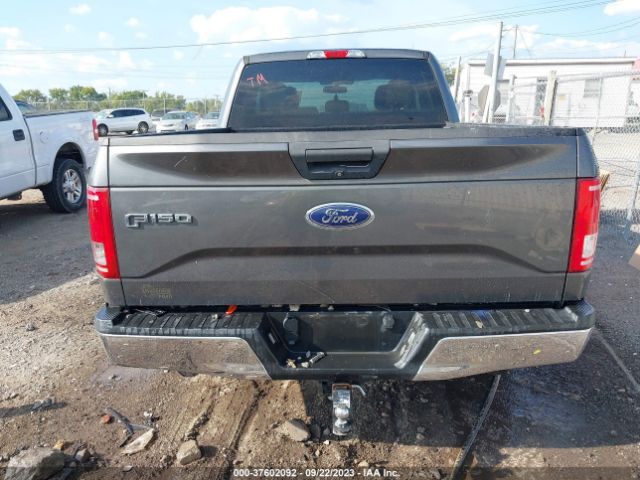 1FTEX1CP6FKD24664 Ford F-150 Xl/lariat/xlt