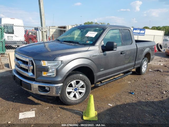 1FTEX1CP6FKD24664 Ford F-150 Xl/lariat/xlt