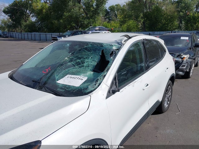 Ford ESCAPE SE 2022 1FMCU9G64NUA60889 Image 6