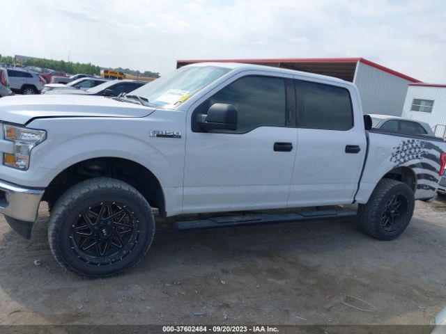 1FTEW1EFXHKD11359 Ford F-150 Xl/xlt/lariat