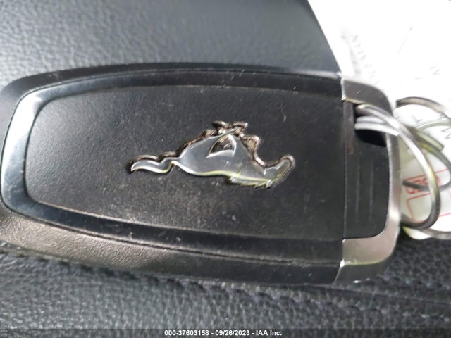 2019 FORD MUSTANG GT VIN: 1FA6P8CF6K5203278