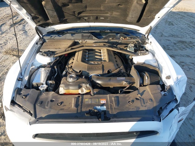 Ford MUSTANG GT 2014 1ZVBP8CF4E5246477 Image 10