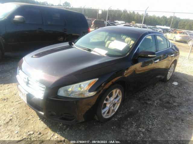 2013 NISSAN MAXIMA 1N4AA5AP6DC825920 Photo 1