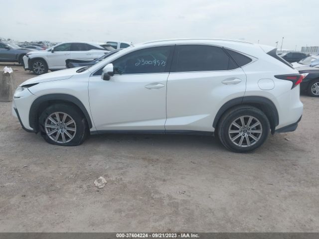 JTJDARBZ6M5023321 Lexus Nx Nx 300