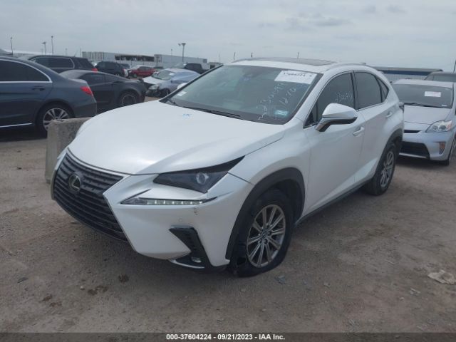 JTJDARBZ6M5023321 Lexus Nx Nx 300