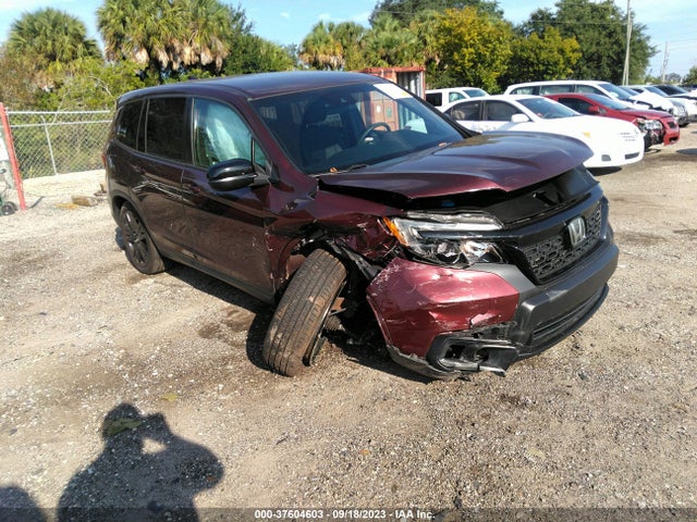 2019 5FNYF7H23KB007481 main image