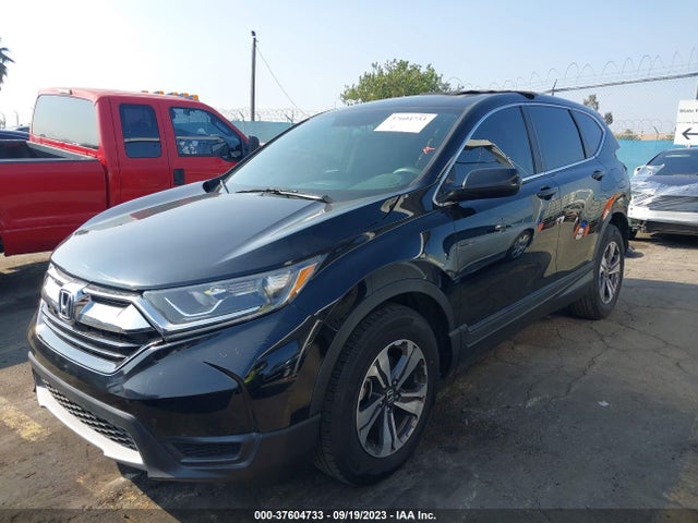 Honda CR-V LX 2019 5J6RW5H35KL004509 Image 2