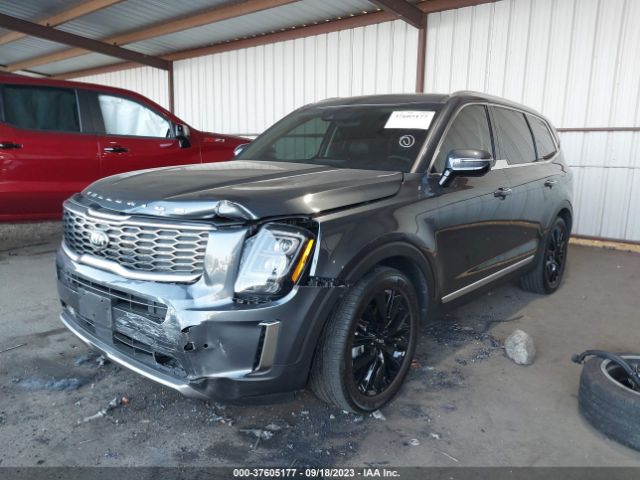 5XYP5DHC4LG009742 KIA Telluride Sx