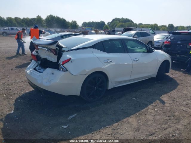 1N4AA6AP8HC436434 Nissan Maxima Sr