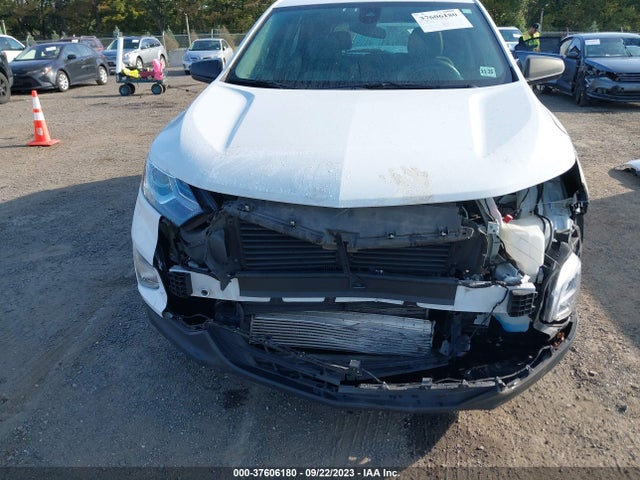 Chevrolet EQUINOX LS 2020 3GNAXSEV1LS738099 Image 6