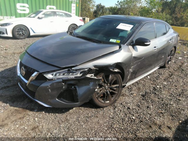 1N4AA6DV6LC376835 Nissan MAXIMA SL