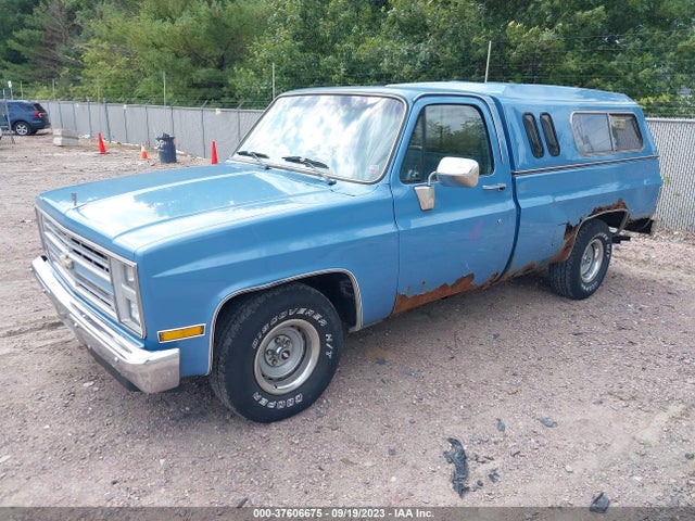 1986 CHEVROLET C10 VIN: 1GCDC14H9GJ137392