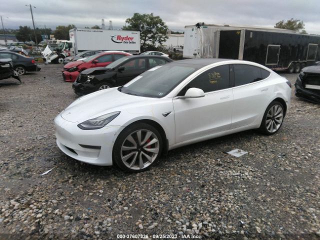 2019 TESLA MODEL 3 5YJ3E1EB6KF427413 Photo 1