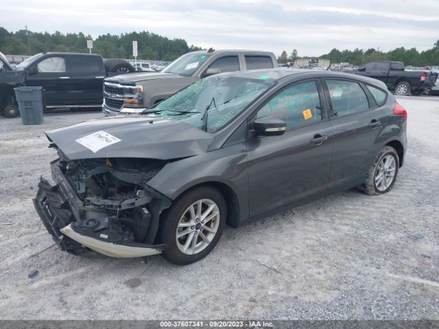 1FADP3K26FL351442 Ford FOCUS SE