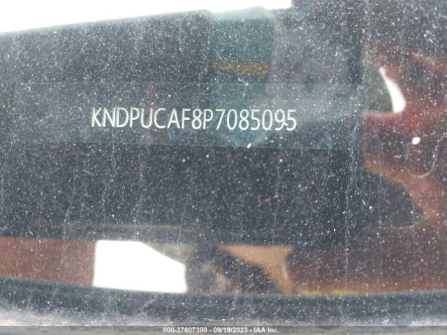 KNDPUCAF8P7085095 KIA Sportage Lx