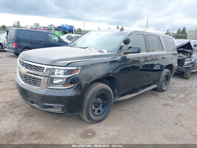 Chevrolet Tahoe Commercial 2019 1GNSKDEC6KR336982 Image 2