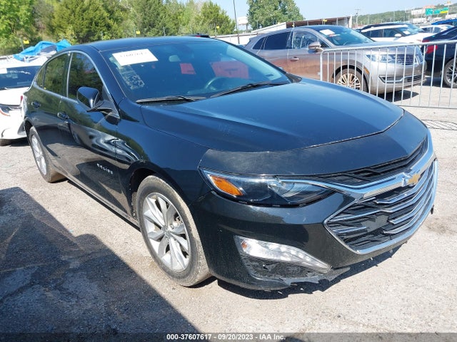 2019 CHEVROLET MALIBU LT VIN: 1G1ZD5ST4KF160276