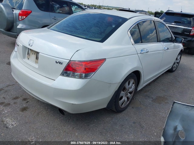 2010 HONDA ACCORD SDN EX-L VIN: 5KBCP3F80AB003217