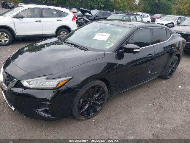 1N4AA6AV3KC375242 Nissan Maxima Sr
