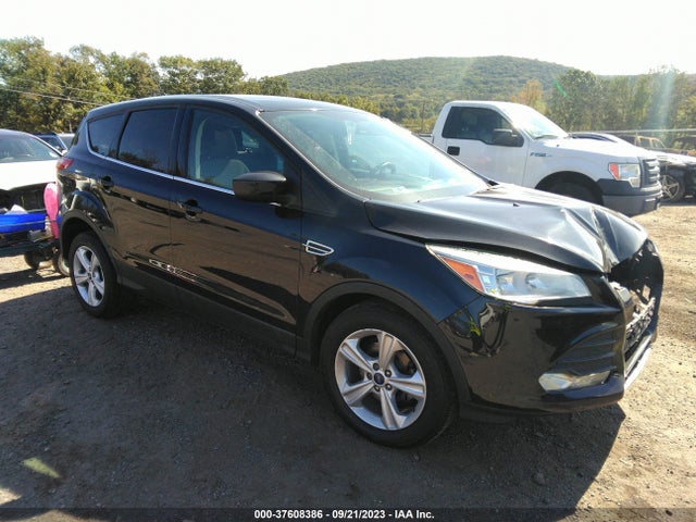 2015 1FMCU0G72FUB23302 main image