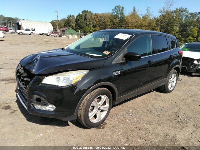 Ford ESCAPE SE 2015 1FMCU0G72FUB23302 Image 2