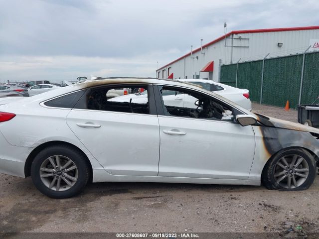5NPE24AF9HH569342 Hyundai Sonata