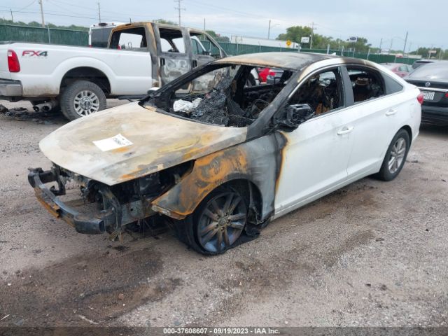 5NPE24AF9HH569342 Hyundai Sonata