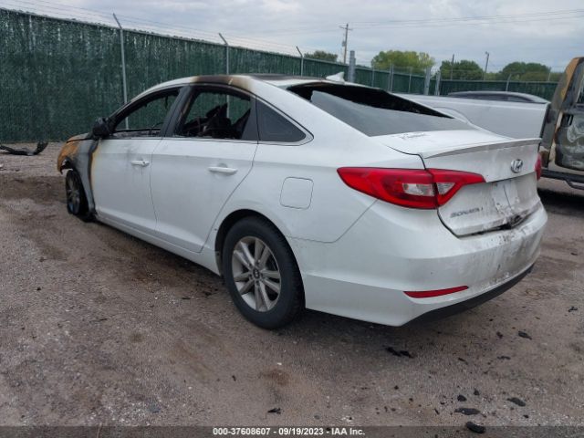 5NPE24AF9HH569342 Hyundai Sonata