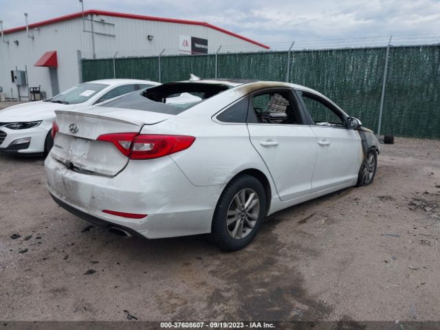 5NPE24AF9HH569342 Hyundai Sonata