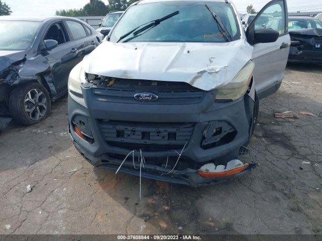 1FMCU0F70EUA66517 Ford ESCAPE S