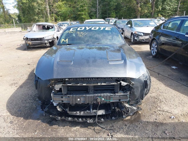 Ford MUSTANG GT 2019 1FA6P8CF0K5194156 Image 13