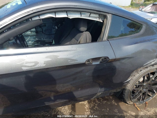 Ford MUSTANG GT 2019 1FA6P8CF0K5194156 Image 15